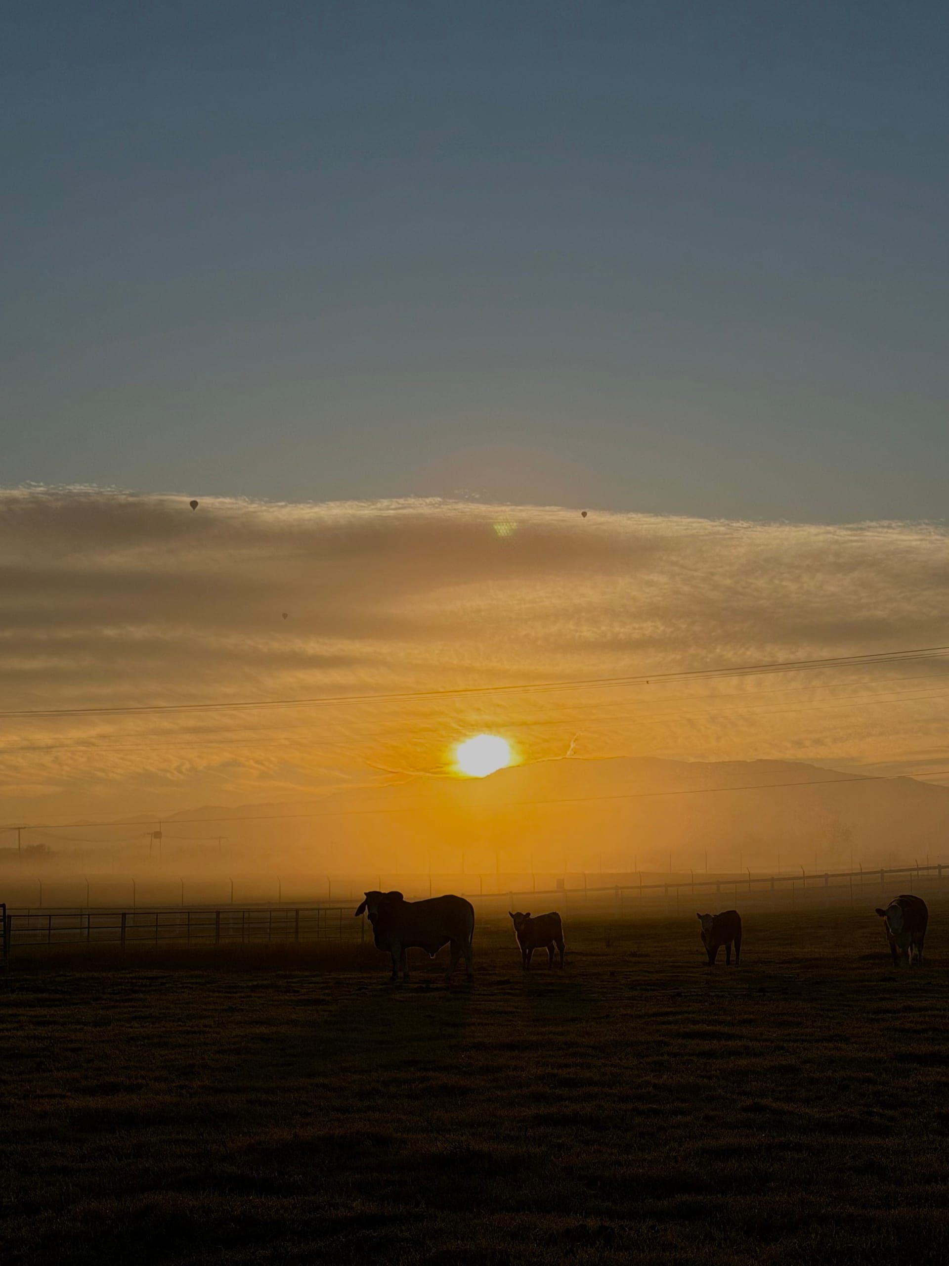 Sunrise over the Hawk Ranch pasture