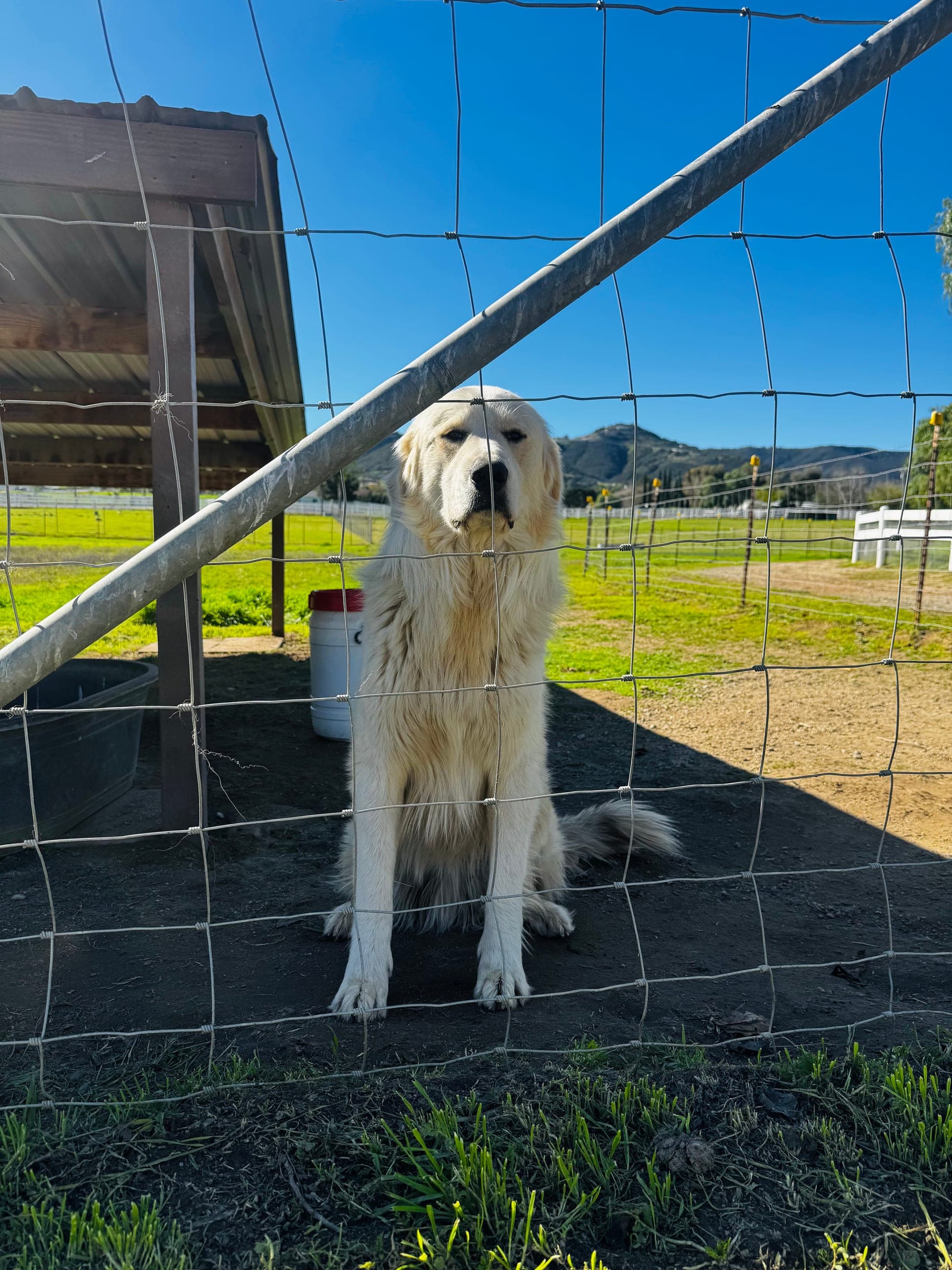 Farm tour moment at Hawk Ranch