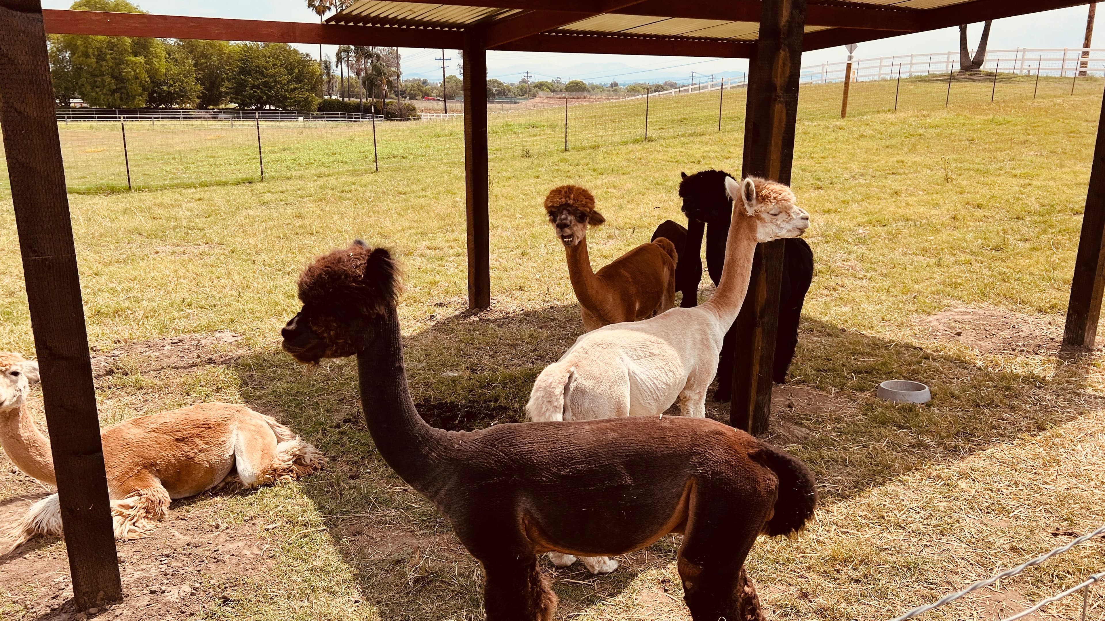 Farm Tours